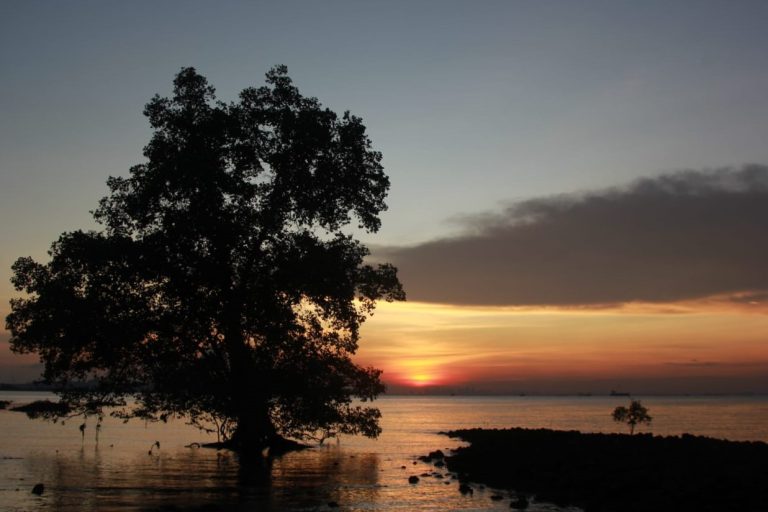 Sunset di Pandang Tak Jemu
