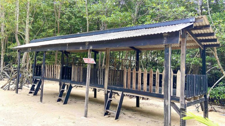 Menikmati Pesona Mangrove Pandang Tak Jemu di Gazebo